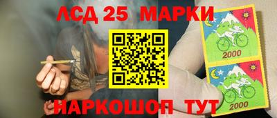 СК Пугачёв