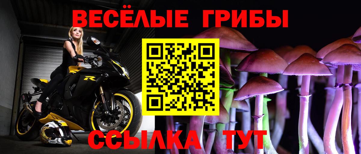 Галлюциногенные грибы прущие грибы Рассказово