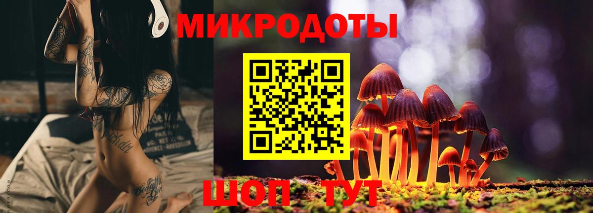 Рассказово  Галлюциногенные грибы Magic Shrooms  Вход с VPN  Псилоцибиновые грибы Magic Shrooms 